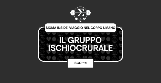 Il Gruppo Ischiocrurale